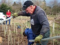 Tree planting - Mar 2015