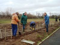 Tree planting - Mar 2015