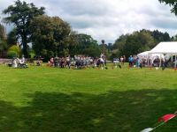 The Fete - June 2015