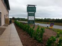 New front hedge - Sep 2016